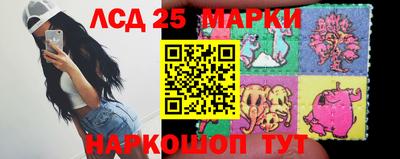 СК Новодвинск