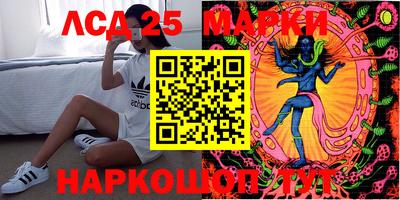 СК Новодвинск