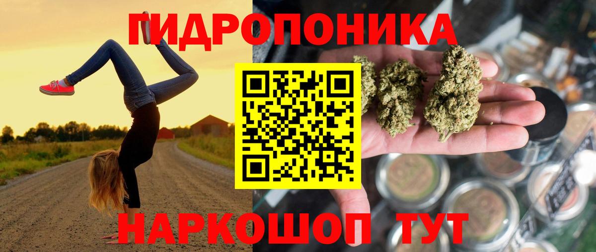 Конопля гибрид  МАРИХУАНА VHQ  Конопля планчик  Вход с VPN  Саров  Канабис сатива 